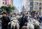 En el centro de la fiesta está el vacío, en el centro del vacío está Madrid