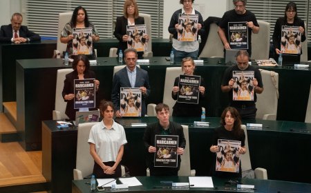 Almeida, tras no sumarse al minuto de silencio por Maricarmen: “Es una estrategia electoral. Son unos miserables”