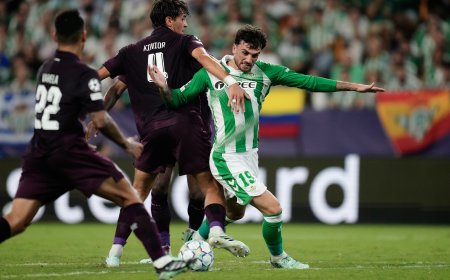 Parrott, el emblema de Irlanda que ha caído de pie en el Betis
