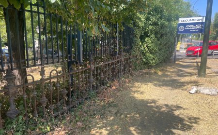Un símbolo lorquiano, en el depósito de la grúa municipal de Madrid
