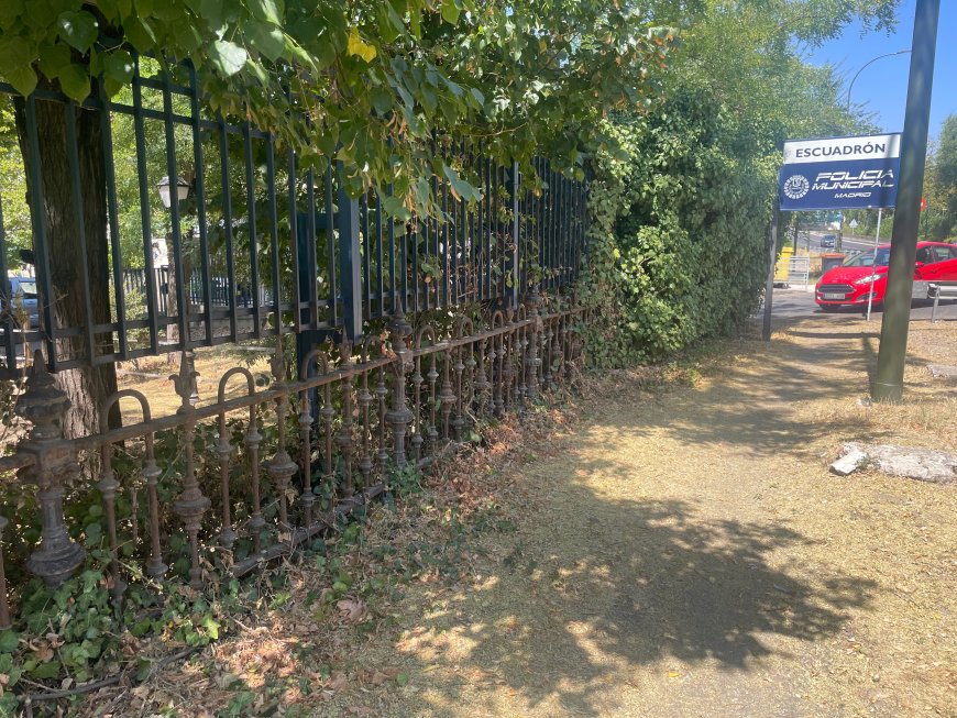 Un símbolo lorquiano, en el depósito de la grúa municipal de Madrid